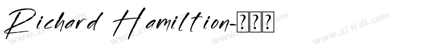 Richard Hamiltion字体转换